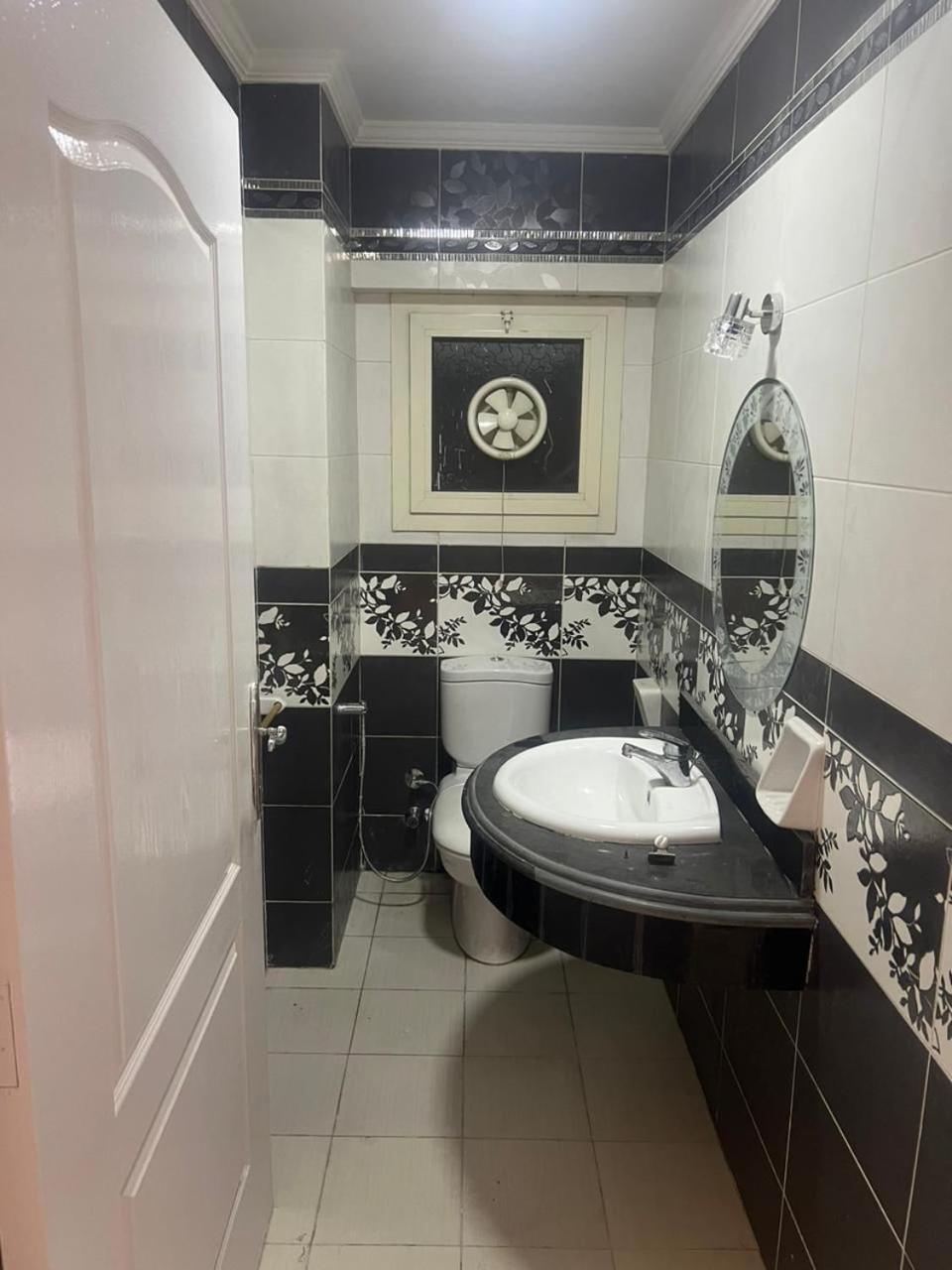 Nile Dolphin Apartment
